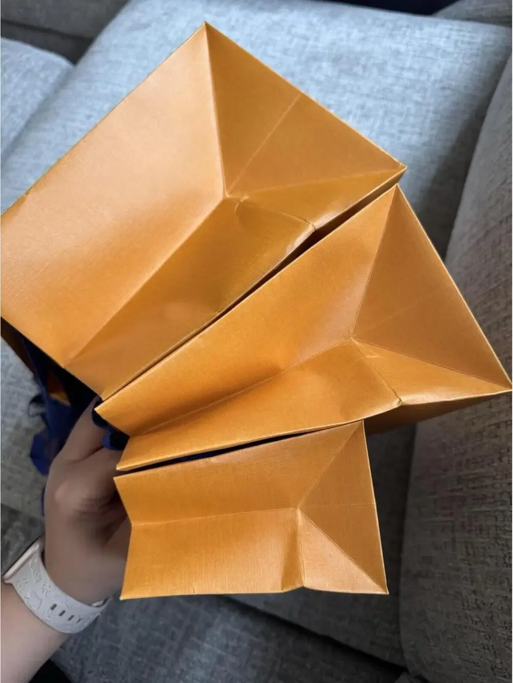 Louis Vuitton 3 Paper Shopping Bags + Wallet Dust Bag + Ribbon and gift note